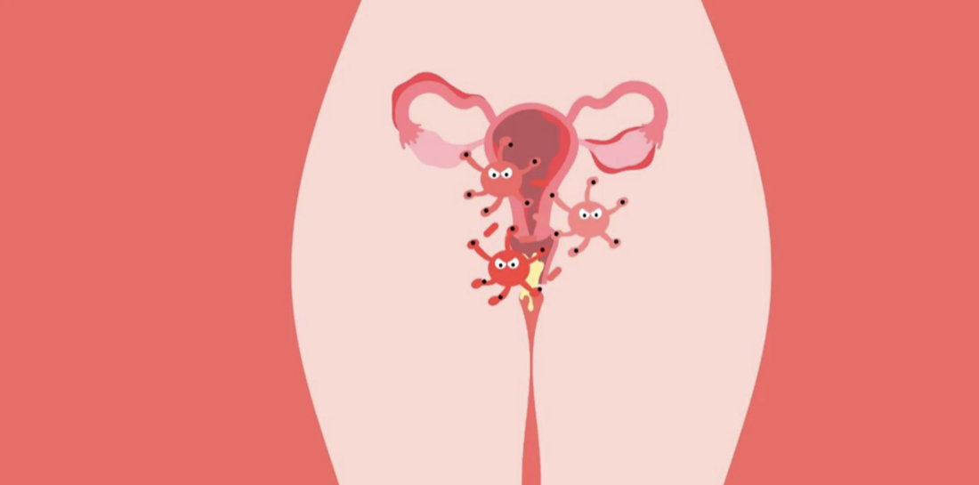 La bacteria clave de la flora vaginal