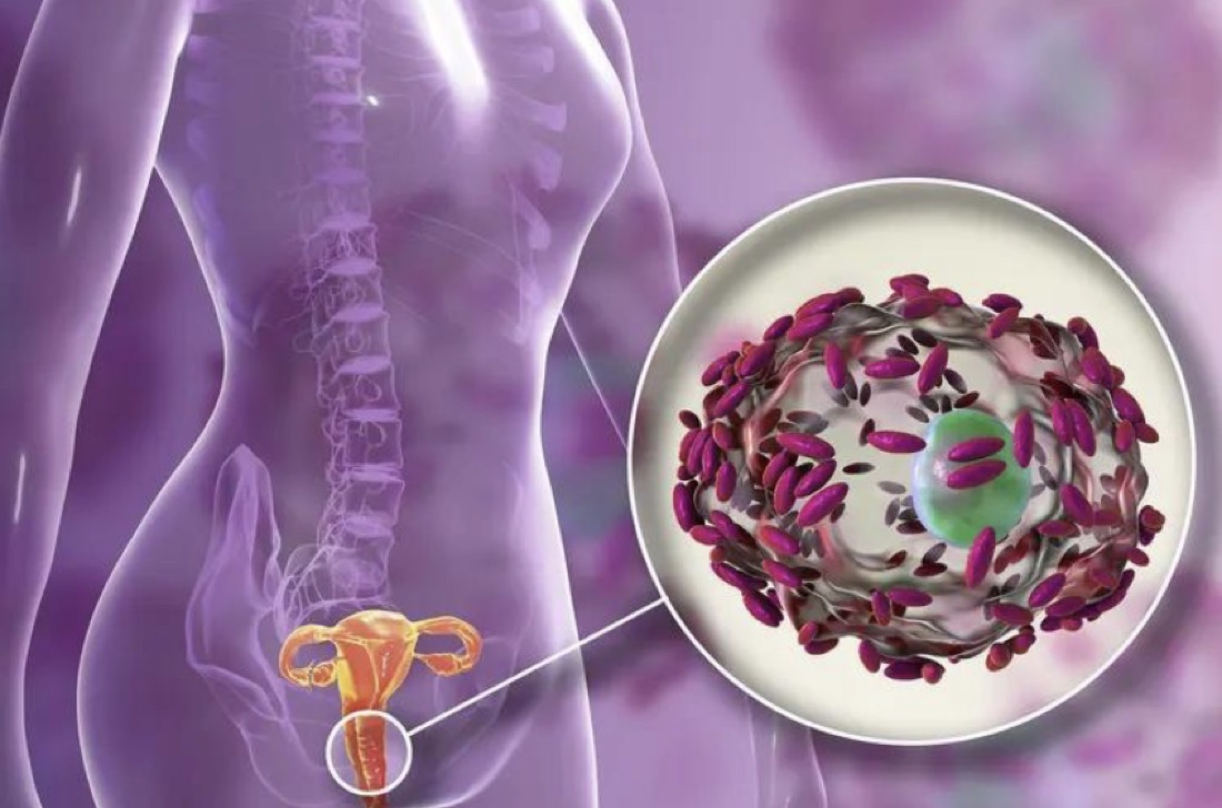 Microbioma y flora vaginal